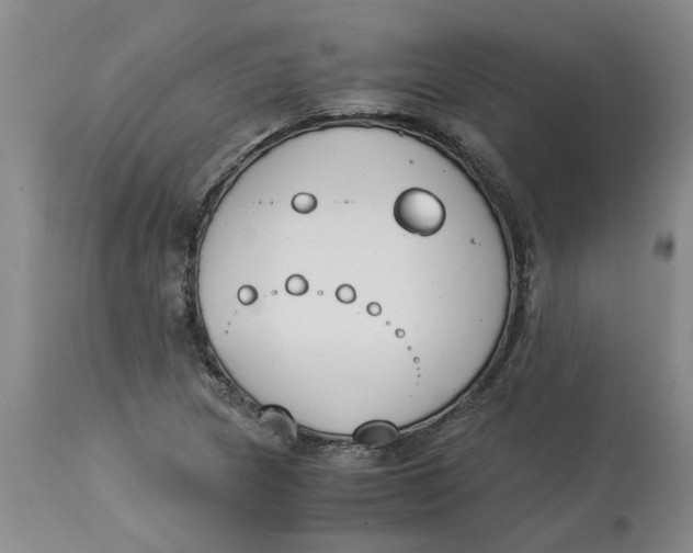 X0000113171217200909251409