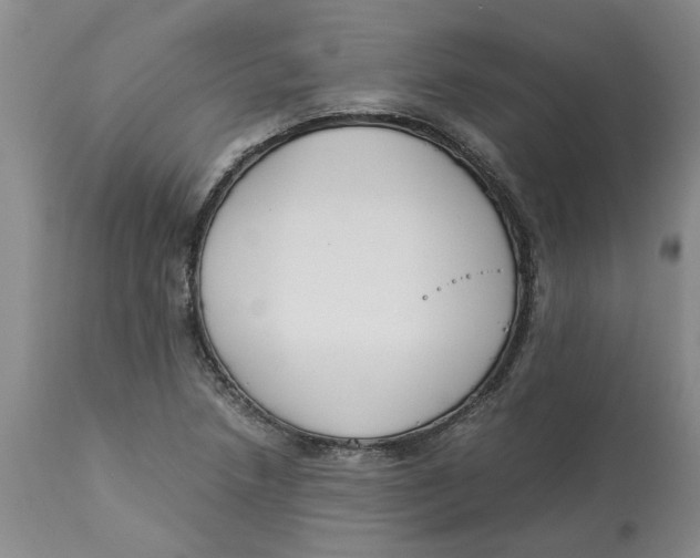 X0000113171218200909251409