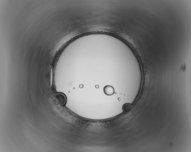 X0000113171219200909251409