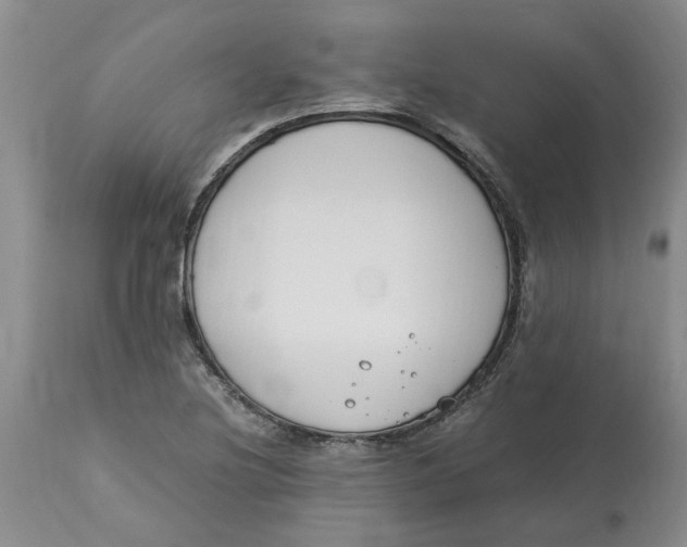 X0000113171220200909251409