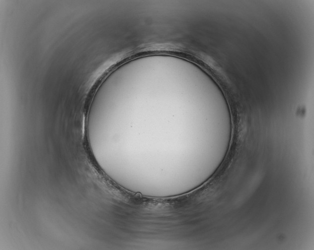 X0000113171221200909251409