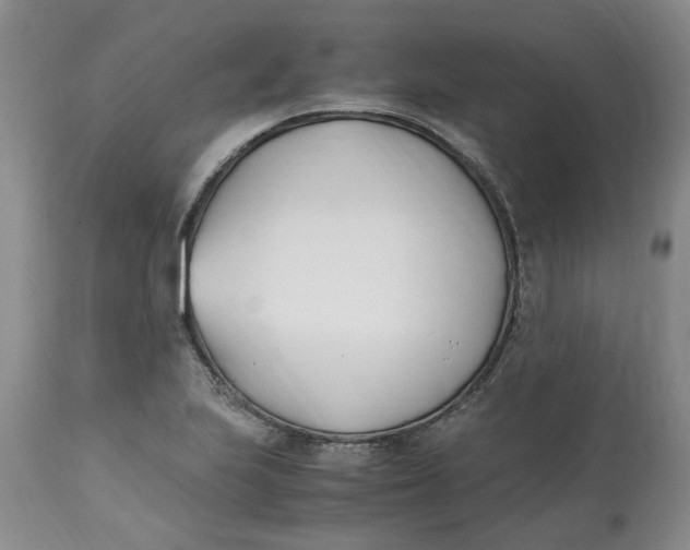 X0000113171223200909251409