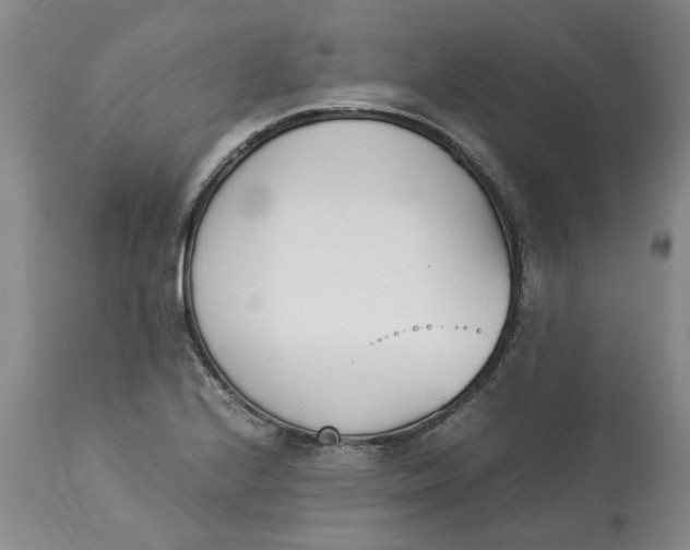 X0000113171224200909251409