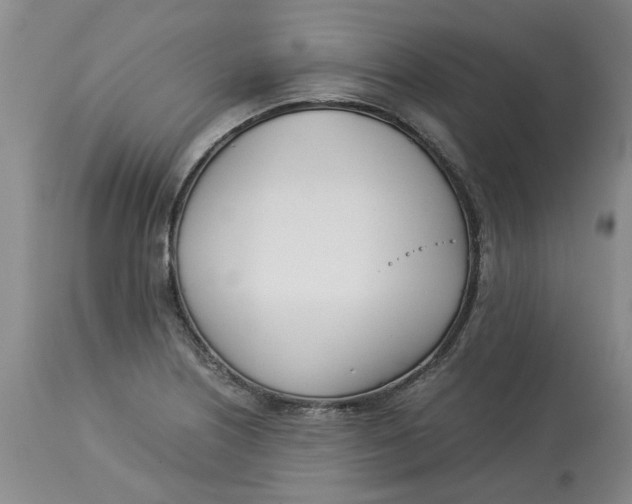 X0000113171226200909251409