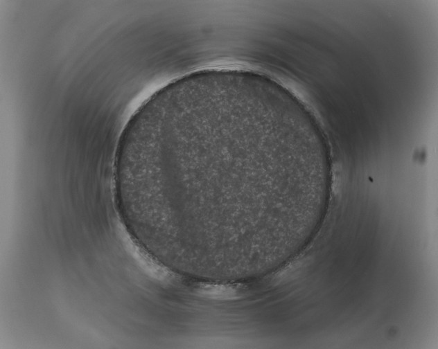 X0000113171229200909251409