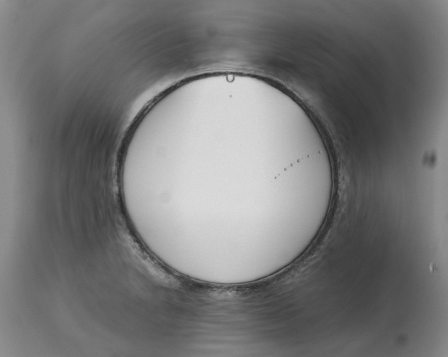 X0000113171230200909251409