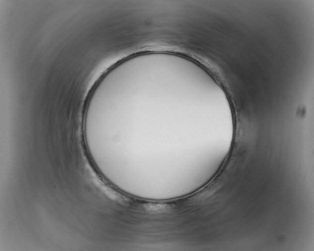 X0000113171231200909251409