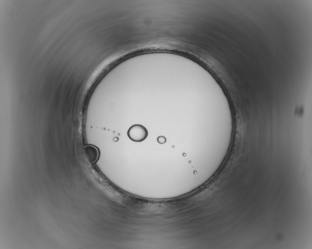 X0000113171232200909251409