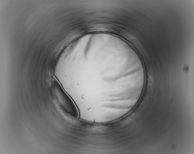 X0000113171233200909251409