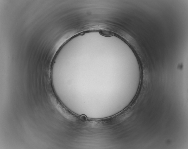 X0000113171234200909251409