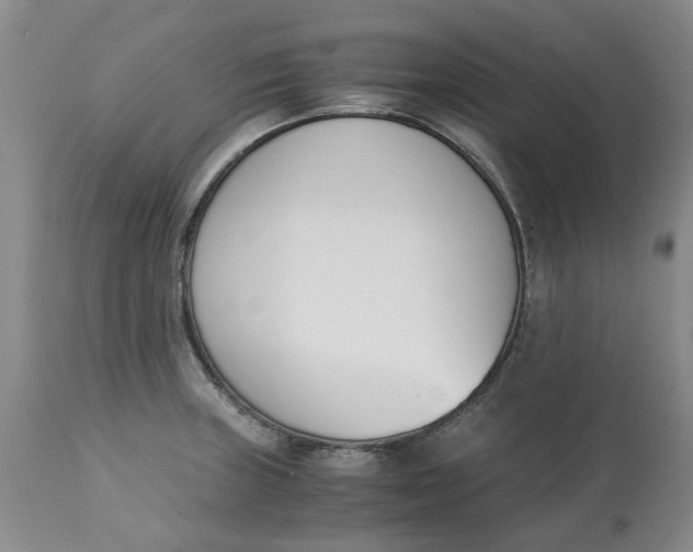 X0000113171235200909251409