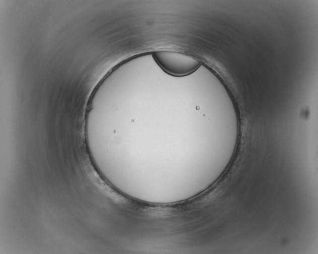 X0000113171236200909251409