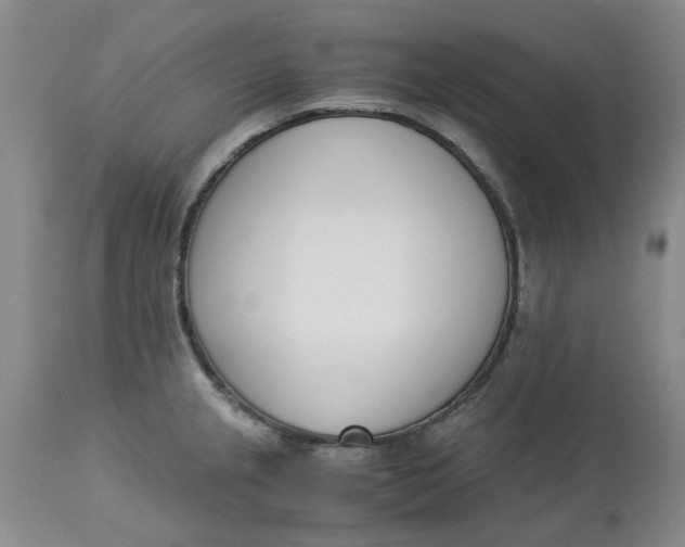 X0000113171237200909251409