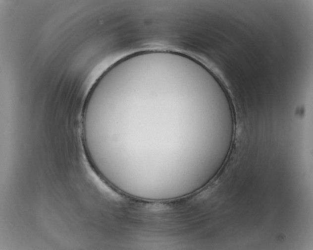 X0000113171239200909251409