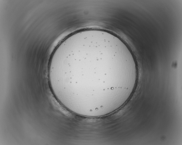 X0000113171240200909251409