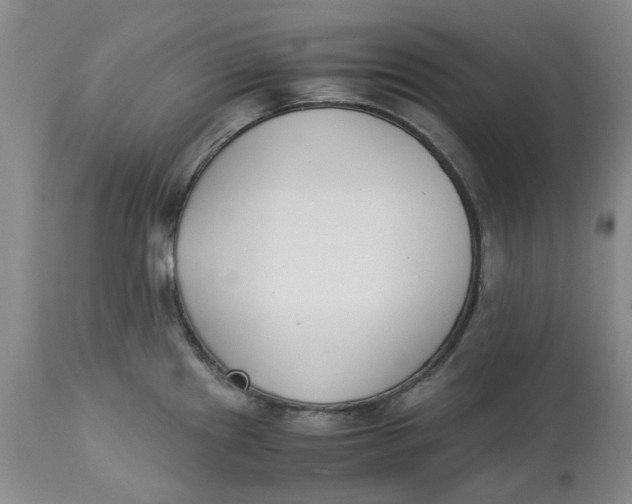 X0000113171241200909251409