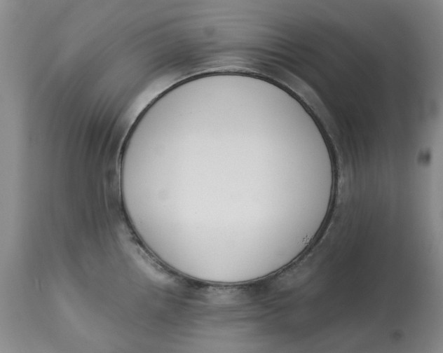 X0000113171242200909251409