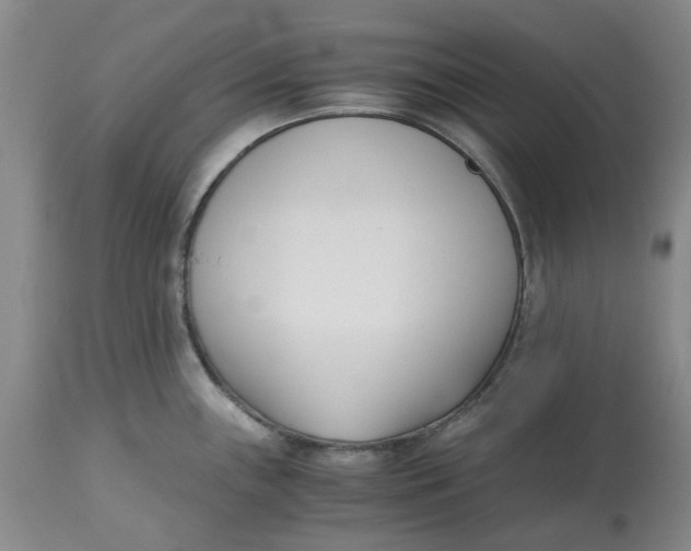 X0000113171243200909251409