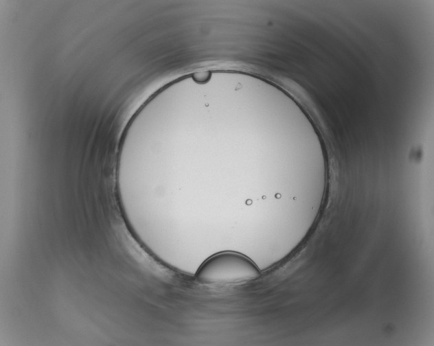 X0000113171244200909251409