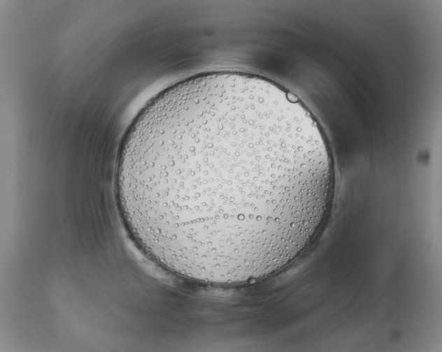 X0000113171245200909251410