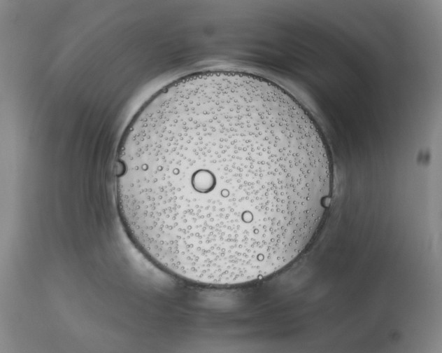 X0000113171247200909251410