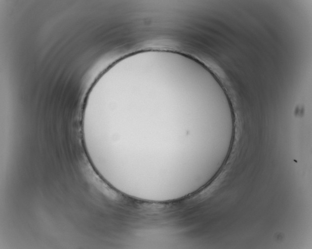 X0000113171248200909251410