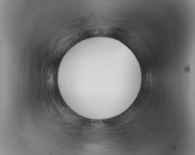 X0000113171250200909251409