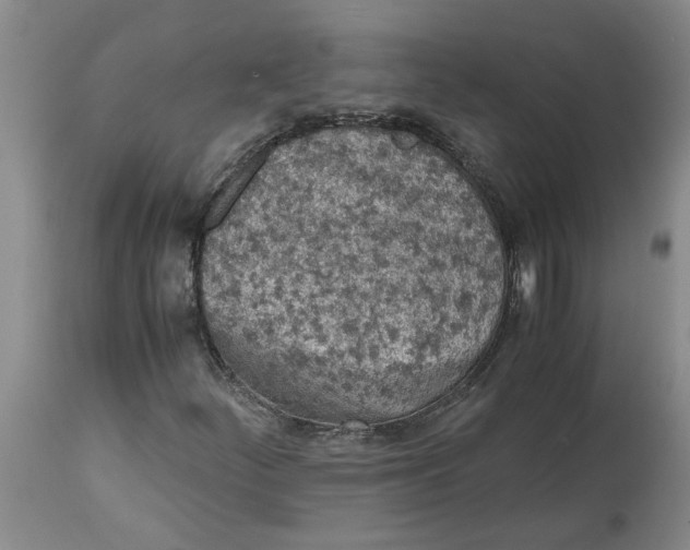 X0000113171252200909251409