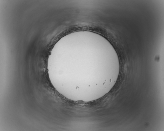 X0000113171253200909251409