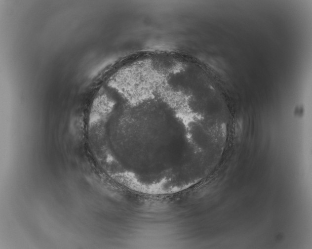 X0000113171254200909251409