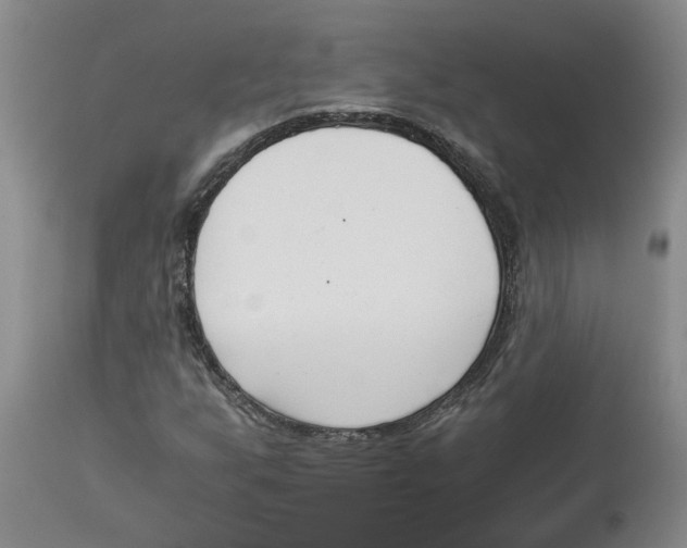 X0000113171255200909251409