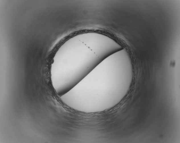 X0000113171256200909251409