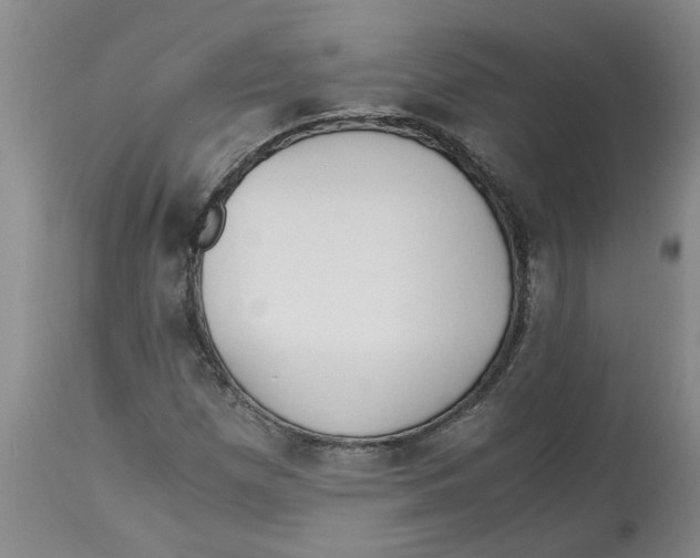 X0000113171257200909251409