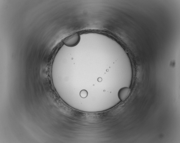 X0000113171258200909251409