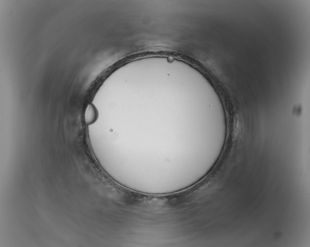 X0000113171261200909251409