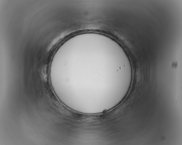 X0000113171262200909251409