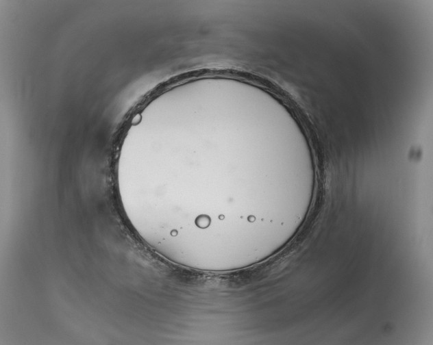 X0000113171263200909251409