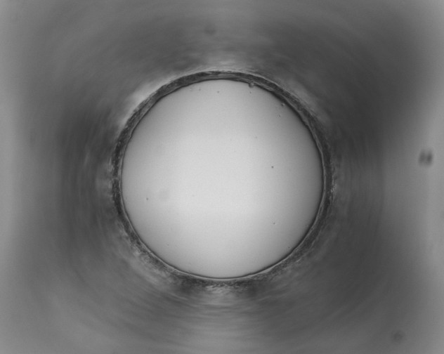 X0000113171264200909251409