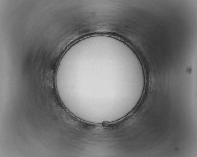 X0000113171265200909251409