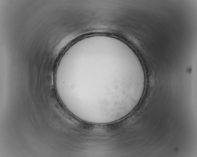 X0000113171267200909251409