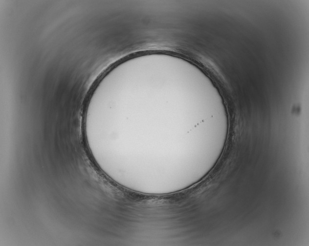 X0000113171268200909251409