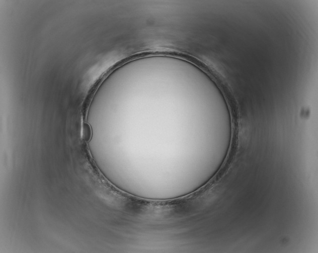 X0000113171269200909251409