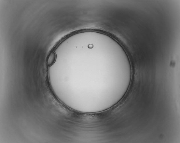 X0000113171270200909251409