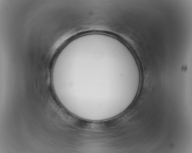 X0000113171271200909251409