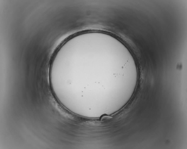 X0000113171272200909251409