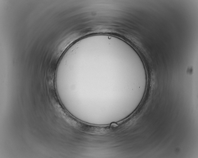 X0000113171273200909251409