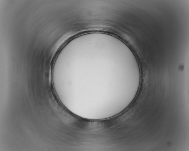 X0000113171275200909251409