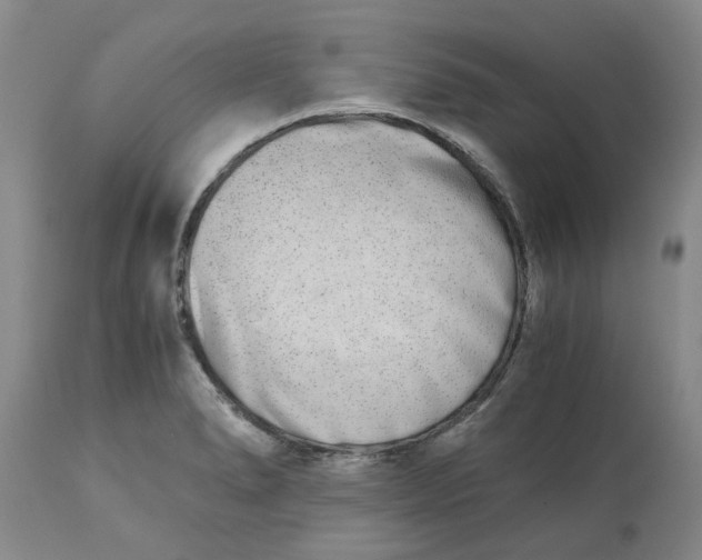 X0000113171278200909251408