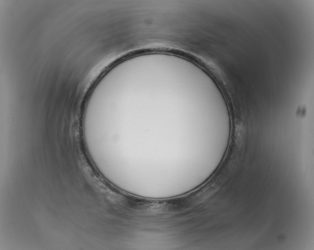 X0000113171279200909251408