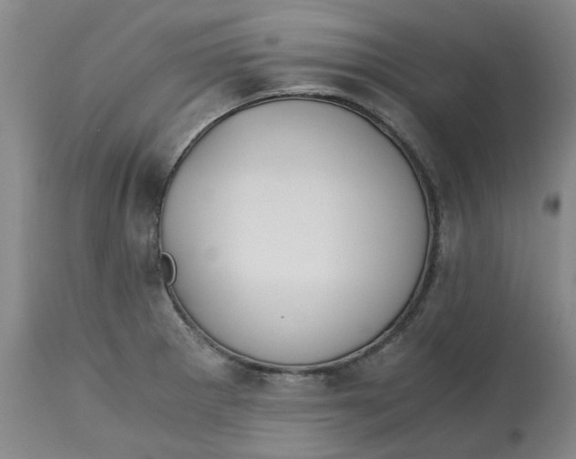 X0000113171281200909251408